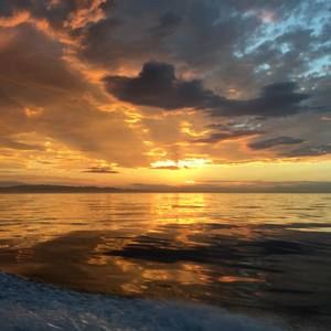 Meet your Posher, Shelly